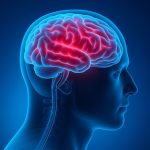 Creierul, noua miză în tratarea diabetului de tip 1: descoperire promițătoare privind rolul leptinei