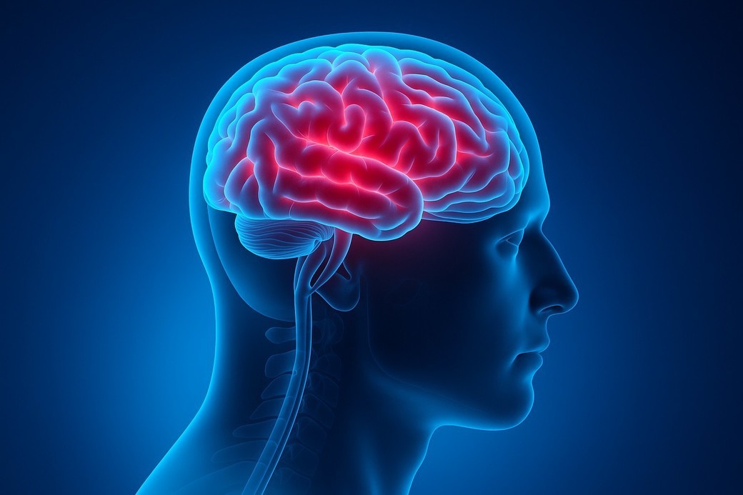 Creierul, noua miză în tratarea diabetului de tip 1: descoperire promițătoare privind rolul leptinei