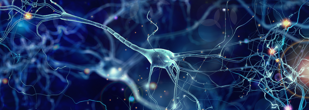 Microplastice în creier — un posibil factor ignorat în apariția demenței vasculare